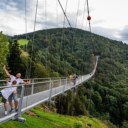 Sope Skylodge 08 - Gentuard's & Leandro's Weitblick - Oberried, Schauinsland