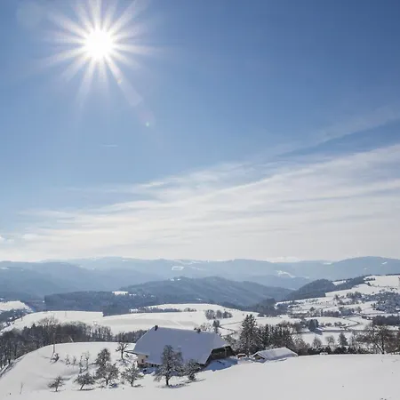 Sope Skylodge 08 - Gentuard's & Leandro's Weitblick - Oberried, Schauinsland * Oberried (Breisgau)